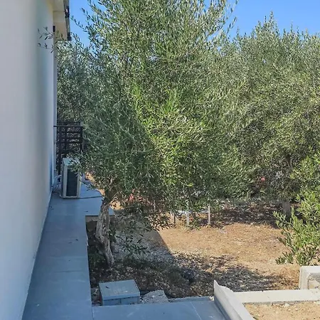 Ph Olive Mountain Escape In Apartment *