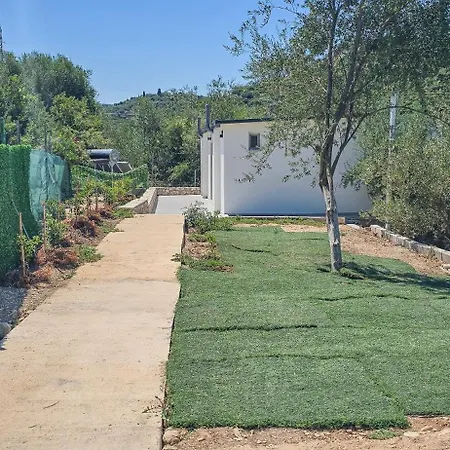Apartment Ph Olive Mountain Escape In *