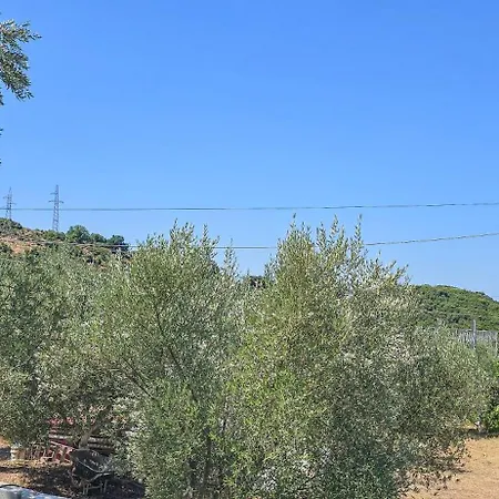 Apartment Ph Olive Mountain Escape In *