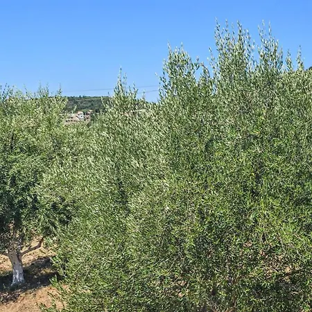 Apartment Ph Olive Mountain Escape In