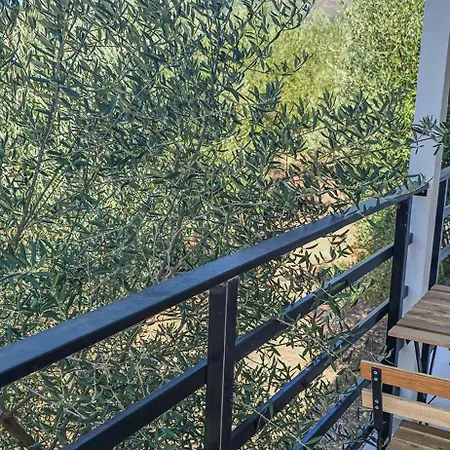 Ph Olive Mountain Escape In