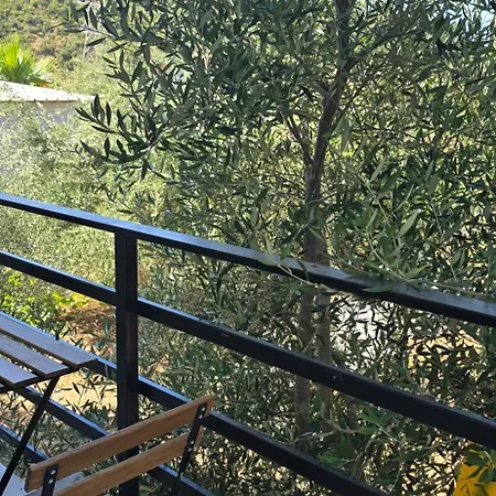 Ph Olive Mountain Escape In Apartment