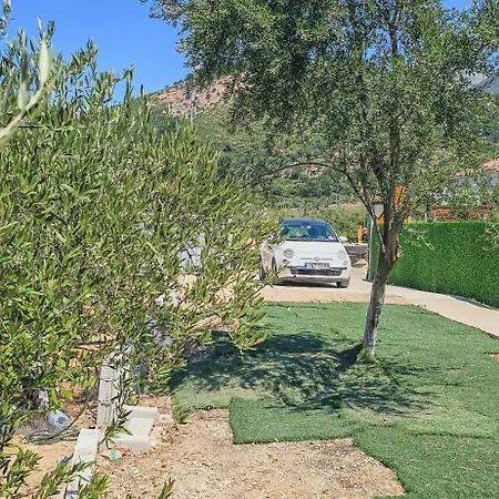 Ph Olive Mountain Escape In Apartamento Himare