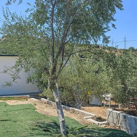 Apartment Ph Olive Mountain Escape In
