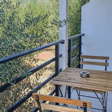 Ph Olive Mountain Escape In *