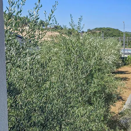 Ph Olive Mountain Escape In Apartment *