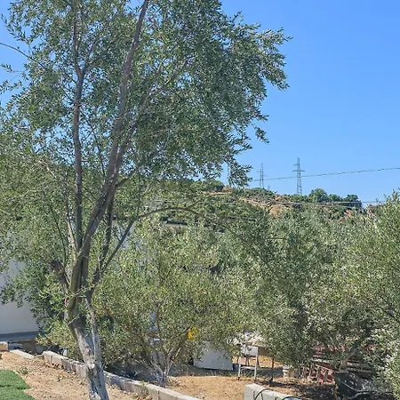 Ph Olive Mountain Escape In